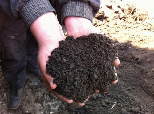 Состав почвы чернозем. Чернозем: виды, свойства, применение