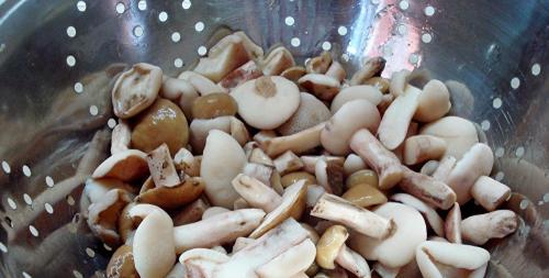 Грибы маслята, как очистить. Как быстро и эффективно почистить грибы от пленки?