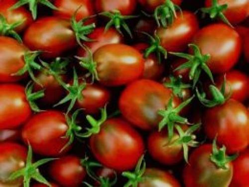Лучшие сорта томатов для вяления. Сорта помидоров для сушки (чтобы приготовить вяленые томаты)