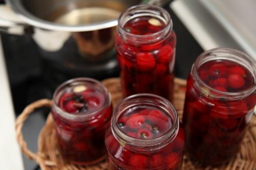 Отличительные особенности белой вишни