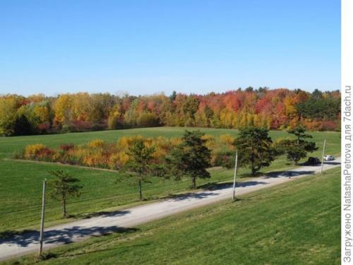 Как выбрать подходящие овощи для смешанной посадки на грядке Как выбрать подходящие овощи для смешанной посадки на грядке