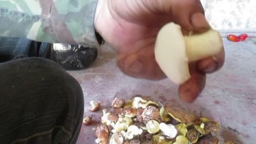 Как почистить маслята быстро и легко. Как быстро и эффективно почистить грибы от пленки? 01 Как почистить маслята быстро и легко. Как быстро и эффективно почистить грибы от пленки? 01