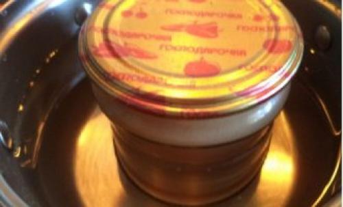 Сок на зиму из слив. Сливовый сок на зиму: два рецепта 08