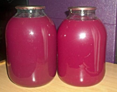 Сок из сливы, как называется. Сливовый сок и рецепты напитков из него