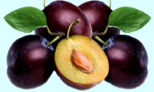 Сок из сливы, как называется. Сливовый сок и рецепты напитков из него