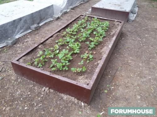 Как сделать грядки с нуля. Из чего сделать короб теплой грядки