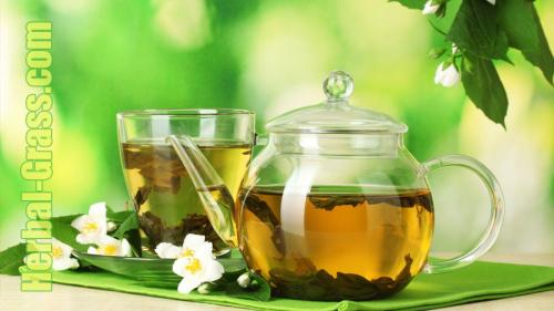 Липа мелколистная характеристика. Как растет и цветет липа