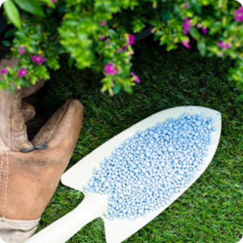 В какое время года лучше сажать лилейник в 2025 году. КАК ВЫРАЩИВАТЬ ЛИЛЕЙНИК: ПОСАДКА И УХОД