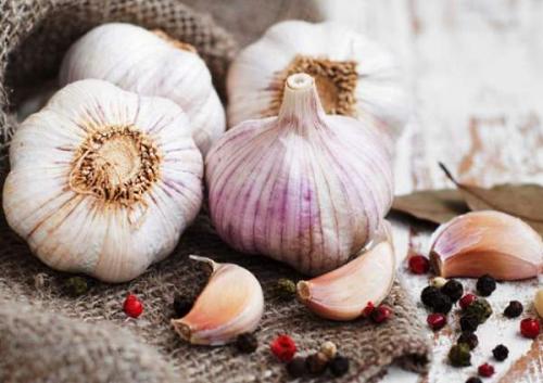 Золотые правила посадки чеснока. Выращивание ярового чеснока: 7 важных моментов 04