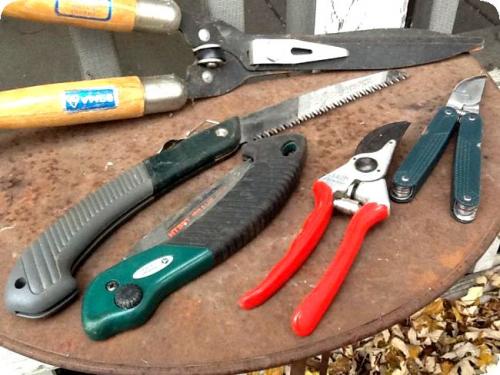 Как обрезать старую грушу осенью. Правильная обрезка груш осенью для повышения урожайности – схемы и инструкция для начинающих