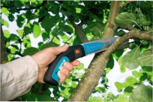 Весенняя обрезка деревьев для начинающих в картинках. Сроки обрезки плодовых деревьев весной 06 Весенняя обрезка деревьев для начинающих в картинках. Сроки обрезки плодовых деревьев весной 06