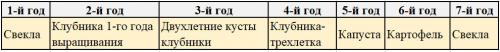 Что посадить после свеклы. Что можно сажать после свеклы на следующий год: подробные таблицы