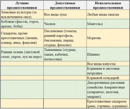 Что посадить после свеклы. Что можно сажать после свеклы на следующий год: подробные таблицы
