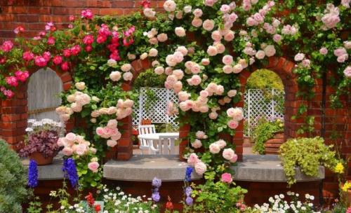 Лучшие виды и сорта роз. Сорта роз: описание и советы по выбору 06