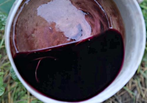 После чего сажать чеснок весной. Подготовка грядки под чеснок