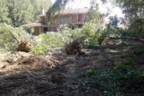 Как можно избежать повреждения окружающей среды при очистке участка от деревьев и поросли. Где вы работаете и сколько стоят Ваши услуги?