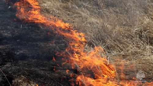 Эффективные методы очистки участка от деревьев и поросли 07