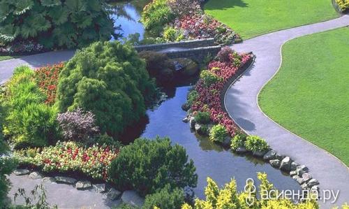 Какие виды деревьев и растений наиболее часто встречаются на незаселённых участках. Растения для сырых участков