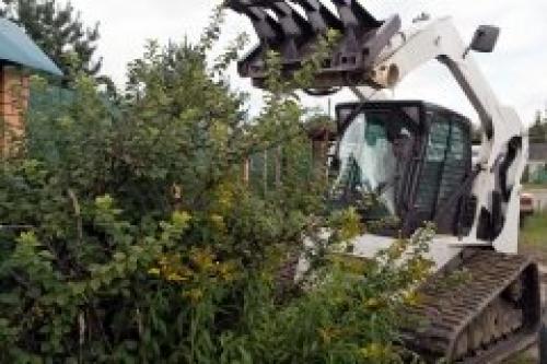 Как можно избежать повреждения окружающей среды при очистке участка от деревьев и поросли. Где вы работаете и сколько стоят Ваши услуги?