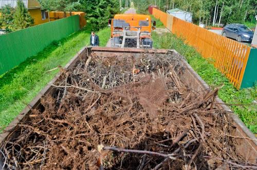 Какие инструменты необходимы для очистки участка от деревьев и поросли. Инструменты для расчистки участка