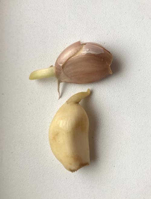 Посадка пророщенного чеснока. Пророс чеснок - не беда. Из него получится отличная зелень!