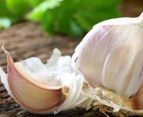 Посадка чеснока под зиму.  Посадка чеснока —, как учила мама 08