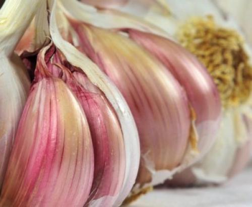 Посадка чеснока под зиму.  Посадка чеснока —, как учила мама 13