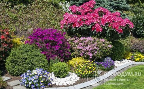 Что после чего сажать - таблица. Характеристики огородных культур и организация плодосмена