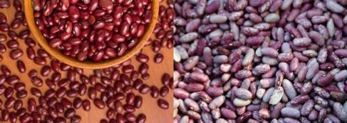 Что сажать после чеснока на следующий год. Что посадить после чеснока на следующий год, советы, рекомендации