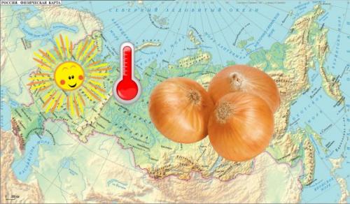 Когда сажать лук весной 2022. Когда сажать лук севок весной