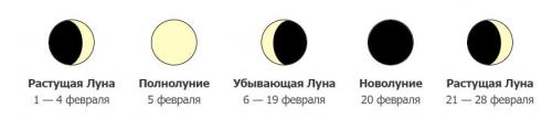 ЛУННЫЙ календарь садовода 2023. Лунный ПОСЕВНОЙ календарь садоводов и огородников на 2023 год с основными рекомендациями по месяцам