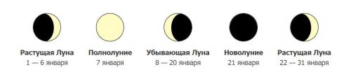 ЛУННЫЙ календарь садовода 2023. Лунный ПОСЕВНОЙ календарь садоводов и огородников на 2023 год с основными рекомендациями по месяцам