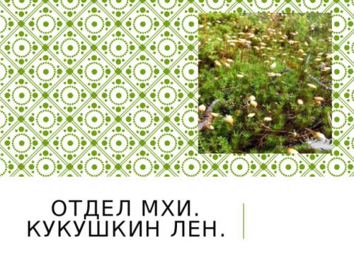 Размножение мха кукушкин лён- YouTube. Просмотр содержимого документа «Развитие и размножение кукушкина льна»