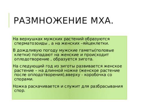 Размножение мха кукушкин лён- YouTube. Просмотр содержимого документа «Развитие и размножение кукушкина льна»