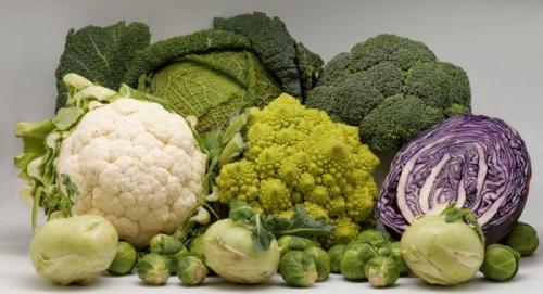 Что сажать после свеклы и моркови. Смотрим схему наоборот (что сажать после конкретных культур)