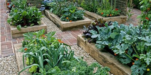 Лунный посевной календарь-таблица. Для огородников