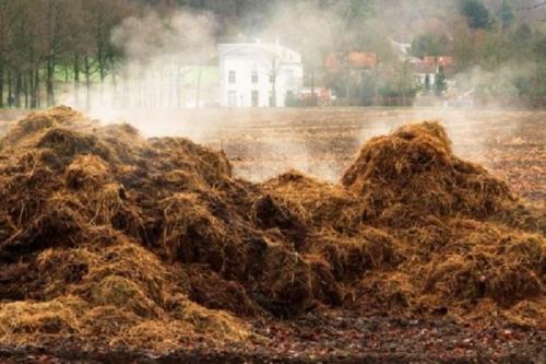 Когда закладывать навоз в землю весной или осенью. Что такое компостирование навоза и как понять, что он созрел?