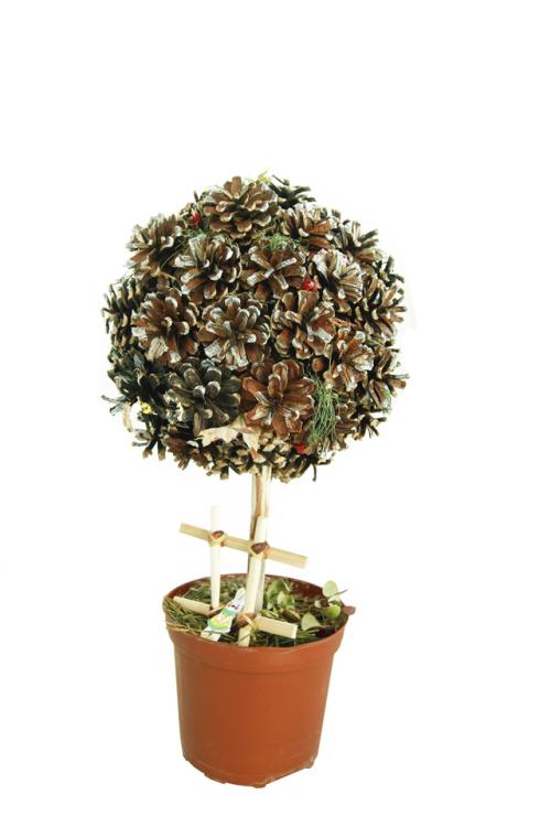 Какие природные материалы лучше всего собирать летом для творчества. Необычные запасы. Собираем на даче материалы для детского творчества