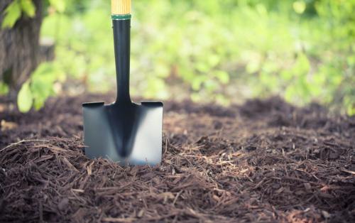 Простые методы удаления кустарников из вашего сада 06