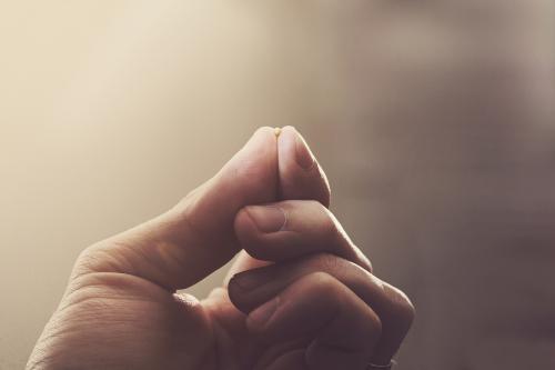 Черная горчица технология выращивания. Подбор для посева — крымский опыт выращивания горчицы 08 Черная горчица технология выращивания. Подбор для посева — крымский опыт выращивания горчицы 08