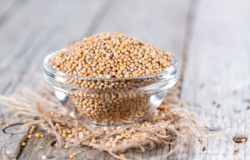 Черная горчица технология выращивания. Подбор для посева — крымский опыт выращивания горчицы 04 Черная горчица технология выращивания. Подбор для посева — крымский опыт выращивания горчицы 04