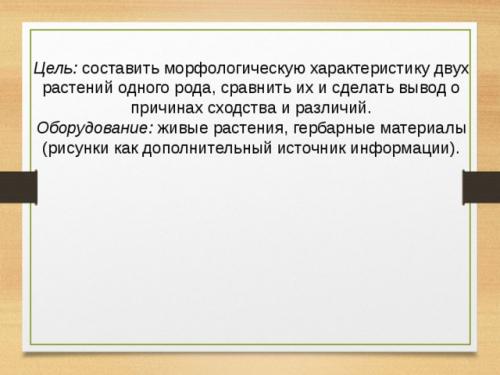 Клевер ползучий жилкование листьев. Содержимое разработки