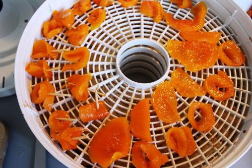 Как приготовить красивые и вкусные цукаты из тыквы. «Праздничные» цукаты из тыквы 19