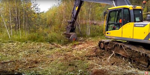 Какие факторы могут повлиять на скорость и эффективность очистки участка от кустарников. Очистка участка от деревьев и кустарников.