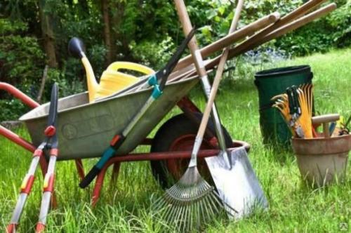 Быстро и эффективно: как очистить участок от кустарников 02 Быстро и эффективно: как очистить участок от кустарников 02