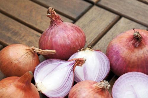 Как определить, когда лук репчатый однолетний готов к уборке. Средние сроки и способы уборки для разных видов лука