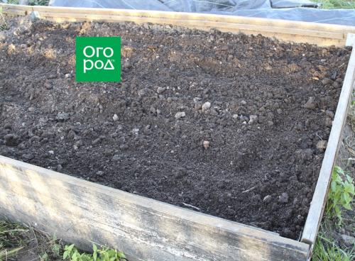 Лук севок: полное руководство по посадке и уходу 08 Лук севок: полное руководство по посадке и уходу 08