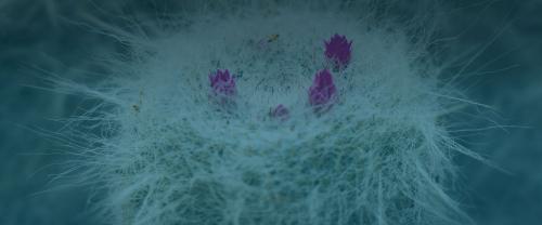 Пять процедур на приеме ЛОР-врача. 5 вопросов ЛОР-врачу (Шустов К.И.) 04