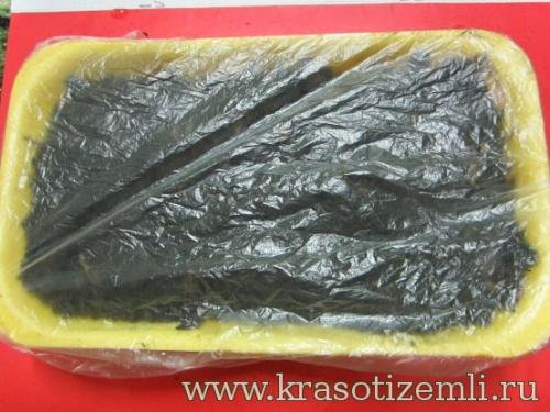 Купить лук севок сибирский однолетний 14: выгодные предложения и высокое качество 07