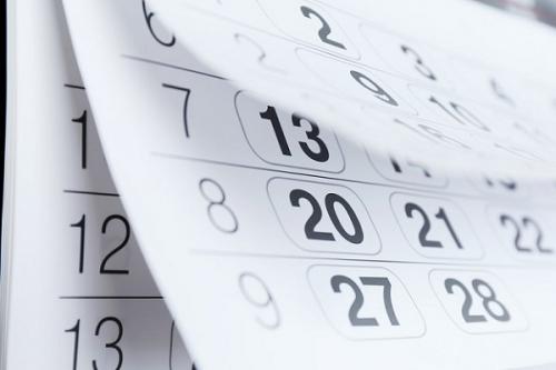 Как быстро посадить чеснок. Чеснок: выращивание и уход